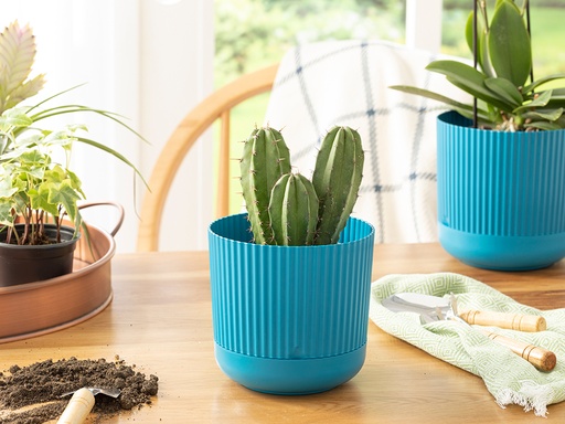 [10032352003] Bloom Flowerpot Seaside Pop (14x14x13cm, Blue)