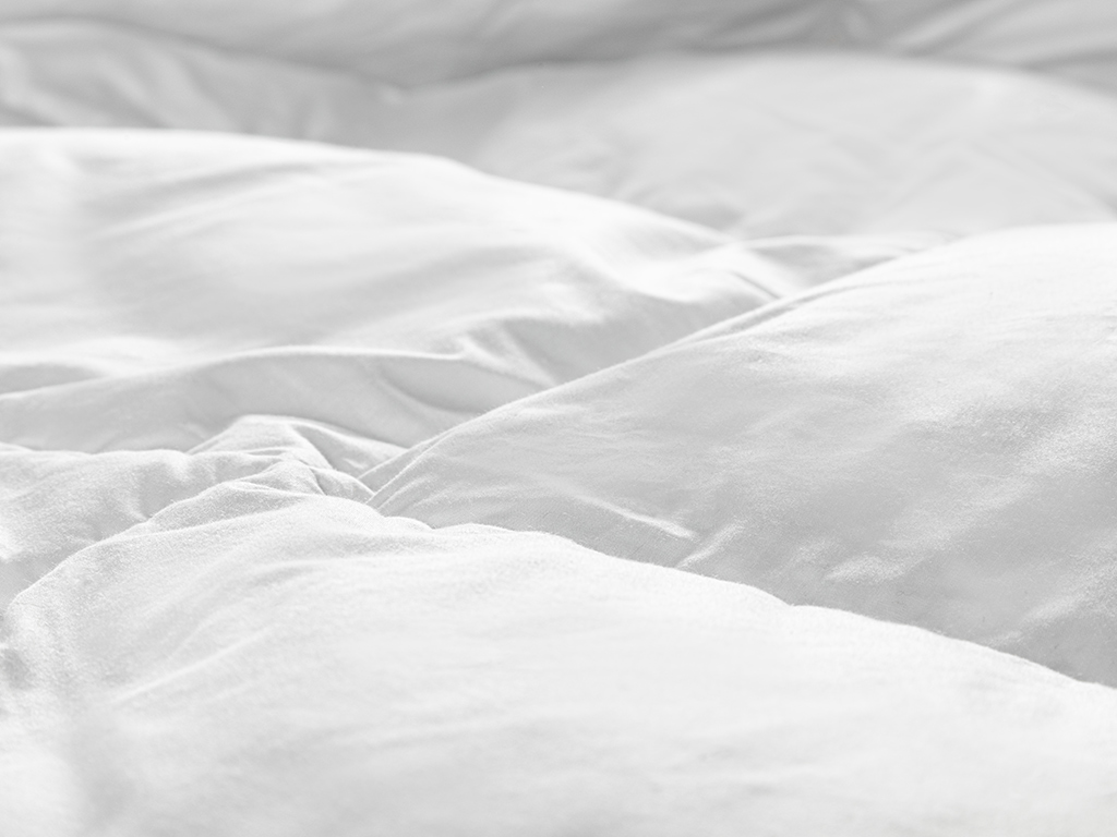 Winter Comforter Timeless