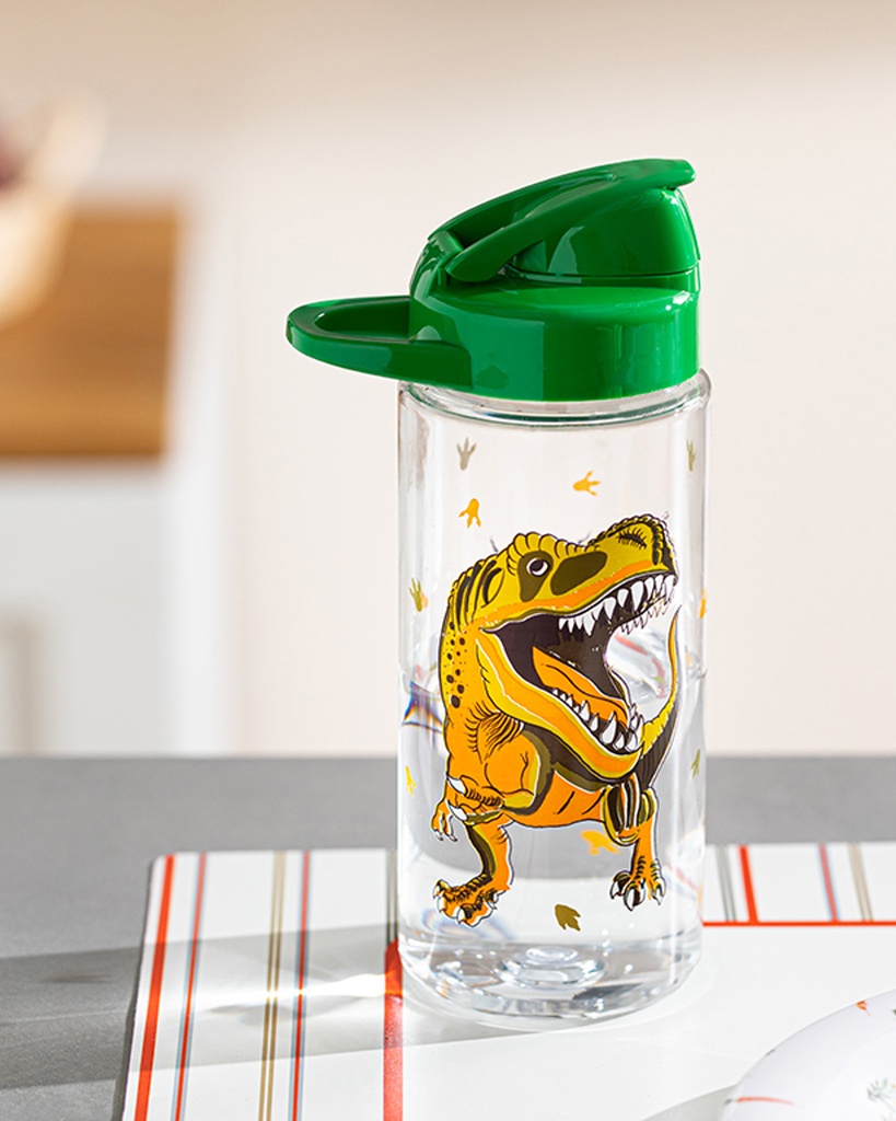 Dinosaurs World Kids Water Bottle Timeless