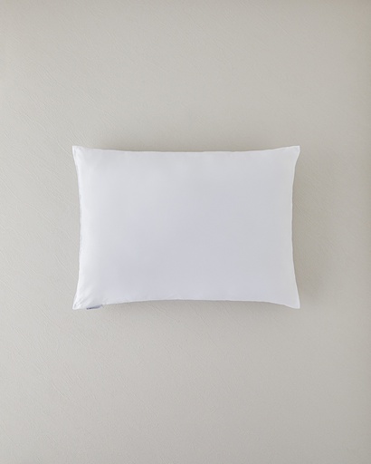 [10013943002] Pillow Timeless