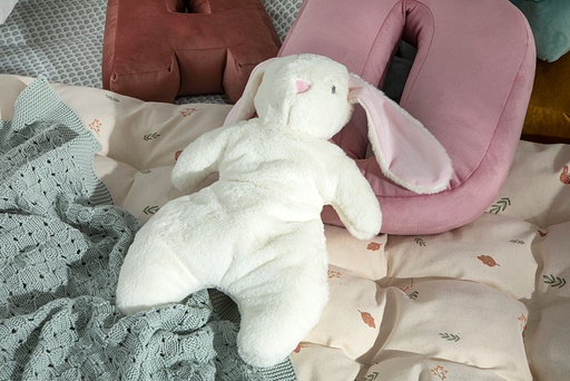 Bunny Baby Decorative Dove Timeless